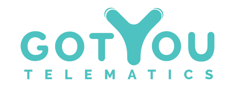 GotYou Telematics logo